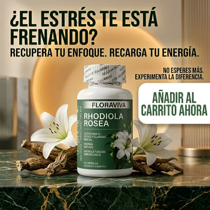 Floraviva Rhodiola